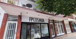 Casa + local + depto