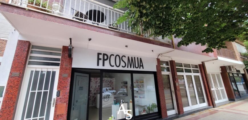 Casa + local + depto