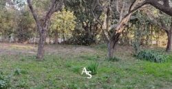 Terreno 865m2 con construcción