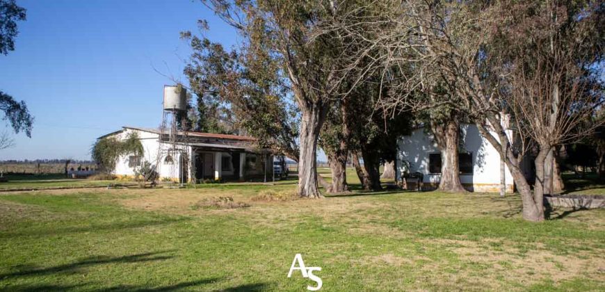 Campo de 81 hectáreas en La Choza, Lujan