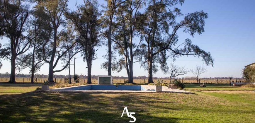 Campo de 81 hectáreas en La Choza, Lujan