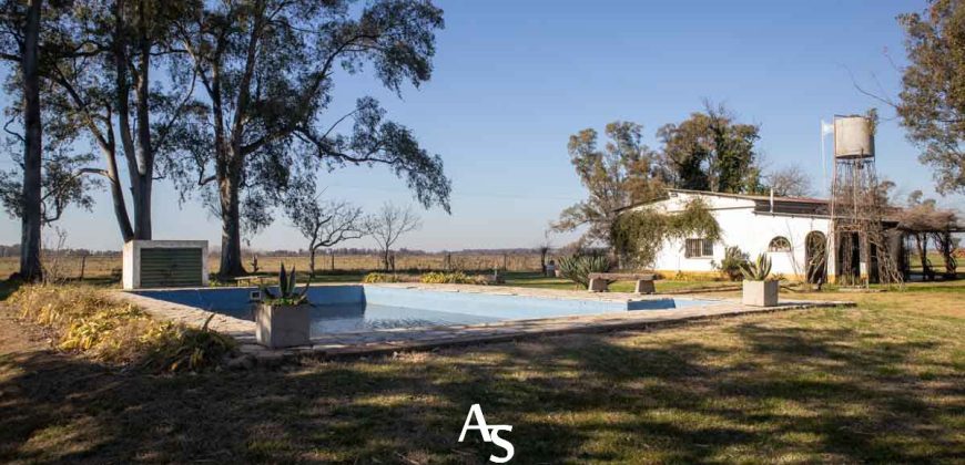 Campo de 81 hectáreas en La Choza, Lujan