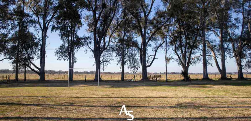 Campo de 81 hectáreas en La Choza, Lujan