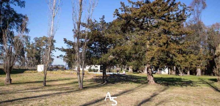 Campo de 81 hectáreas en La Choza, Lujan