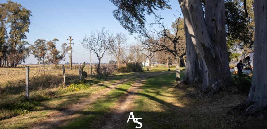 Campo de 81 hectáreas en La Choza, Lujan