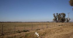 Campo de 81 hectáreas en La Choza, Lujan