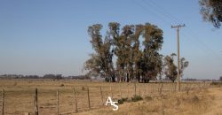 Campo de 81 hectáreas en La Choza, Lujan