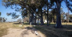 Campo de 81 hectáreas en La Choza, Lujan