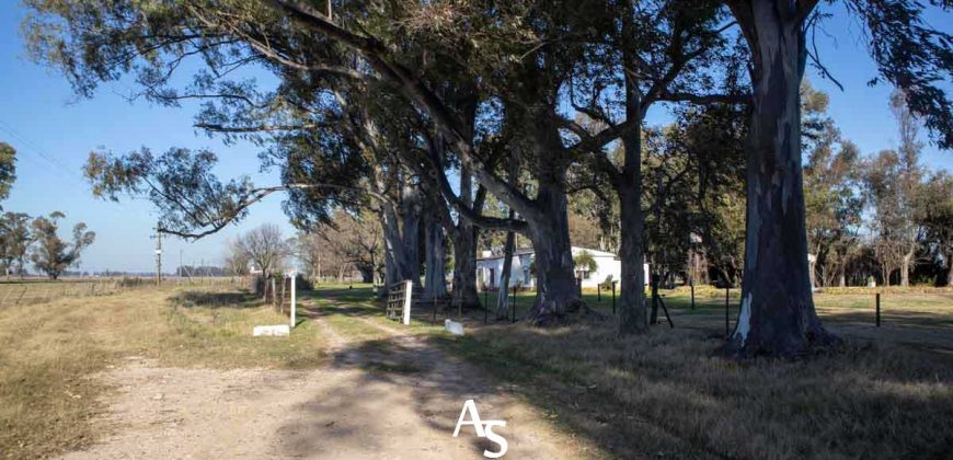 Campo de 81 hectáreas en La Choza, Lujan