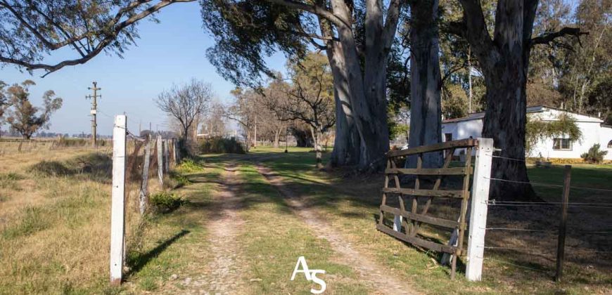 Campo de 81 hectáreas en La Choza, Lujan