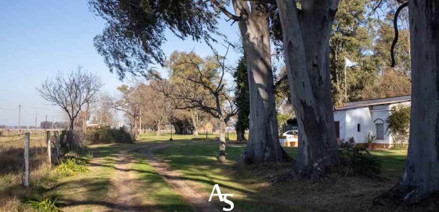 Campo de 81 hectáreas en La Choza, Lujan