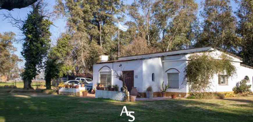 Campo de 81 hectáreas en La Choza, Lujan