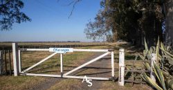 Campo de 81 hectáreas en La Choza, Lujan