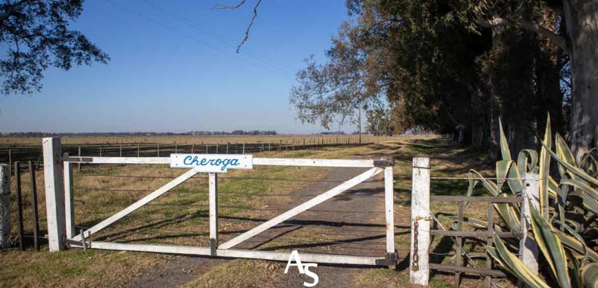 Campo de 81 hectáreas en La Choza, Lujan