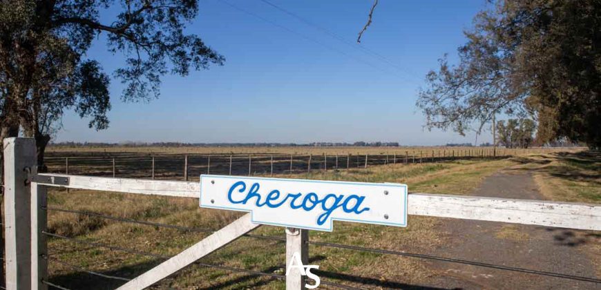 Campo de 81 hectáreas en La Choza, Lujan