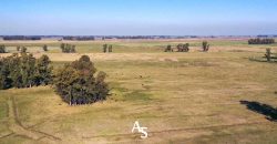 Campo de 81 hectáreas en La Choza, Lujan