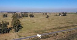 Campo de 81 hectáreas en La Choza, Lujan