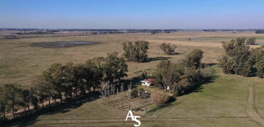 Campo de 81 hectáreas en La Choza, Lujan