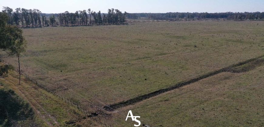 Campo de 81 hectáreas en La Choza, Lujan