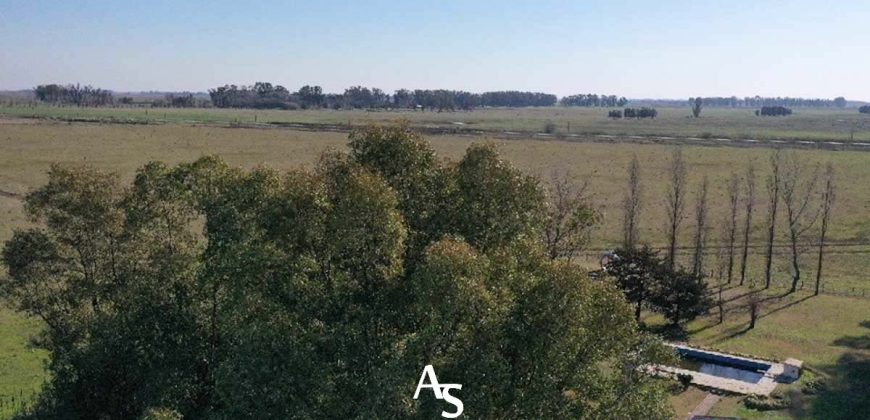 Campo de 81 hectáreas en La Choza, Lujan