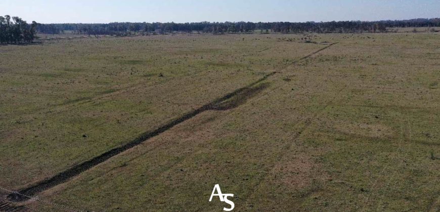 Campo de 81 hectáreas en La Choza, Lujan