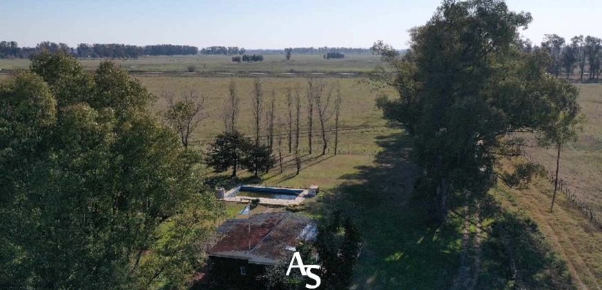 Campo de 81 hectáreas en La Choza, Lujan