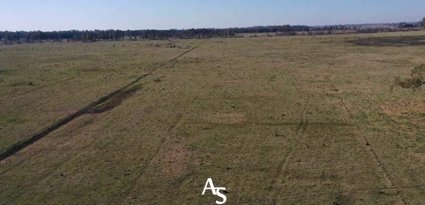 Campo de 81 hectáreas en La Choza, Lujan