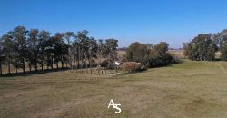 Campo de 81 hectáreas en La Choza, Lujan