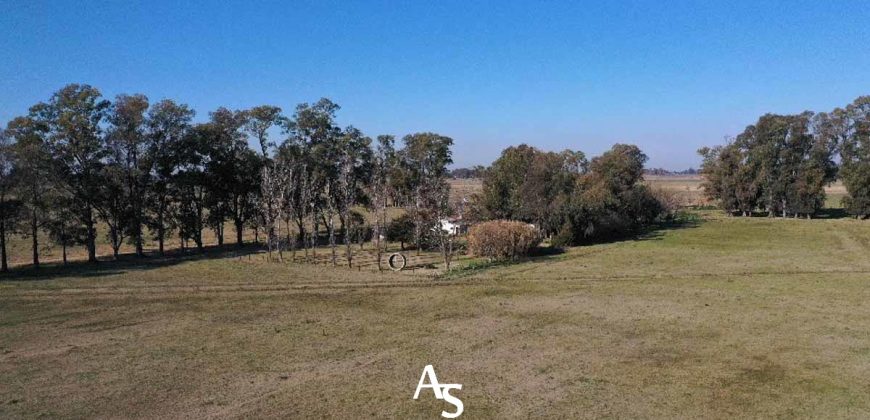 Campo de 81 hectáreas en La Choza, Lujan