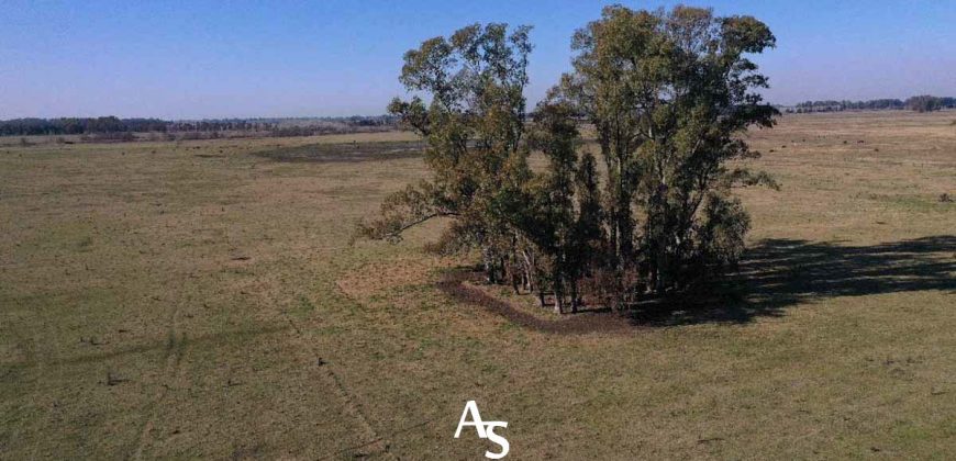 Campo de 81 hectáreas en La Choza, Lujan