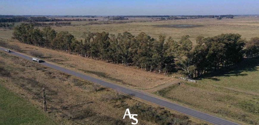 Campo de 81 hectáreas en La Choza, Lujan