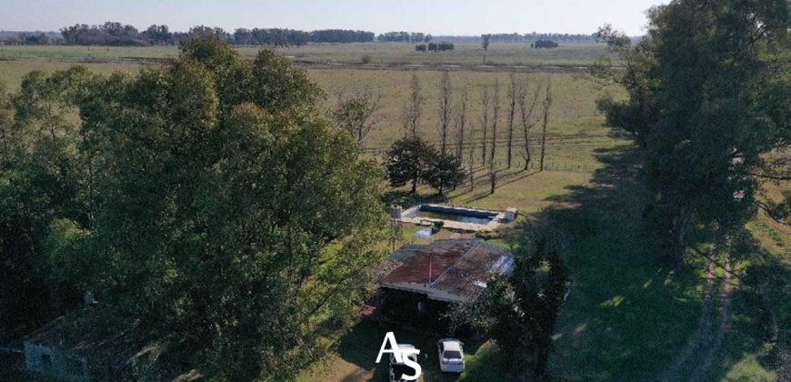 Campo de 81 hectáreas en La Choza, Lujan