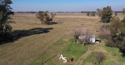 Campo de 81 hectáreas en La Choza, Lujan