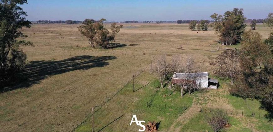 Campo de 81 hectáreas en La Choza, Lujan