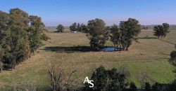 Campo de 81 hectáreas en La Choza, Lujan