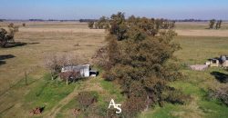 Campo de 81 hectáreas en La Choza, Lujan