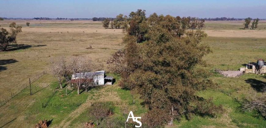 Campo de 81 hectáreas en La Choza, Lujan