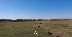 Campo de 81 hectáreas en La Choza, Lujan