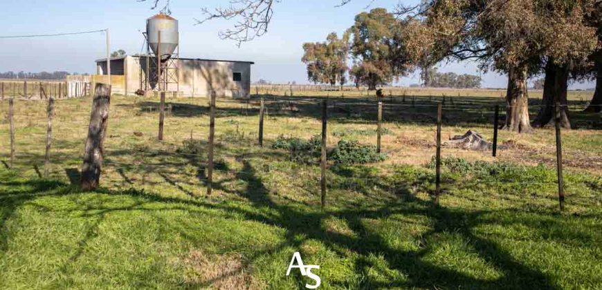 Campo de 81 hectáreas en La Choza, Lujan