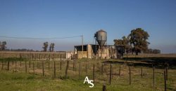 Campo de 81 hectáreas en La Choza, Lujan