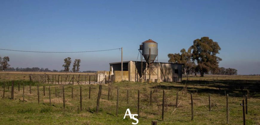 Campo de 81 hectáreas en La Choza, Lujan