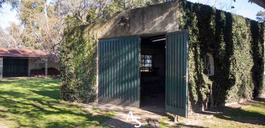 Campo de 81 hectáreas en La Choza, Lujan