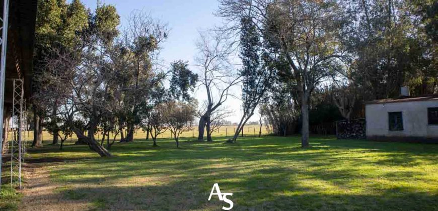 Campo de 81 hectáreas en La Choza, Lujan