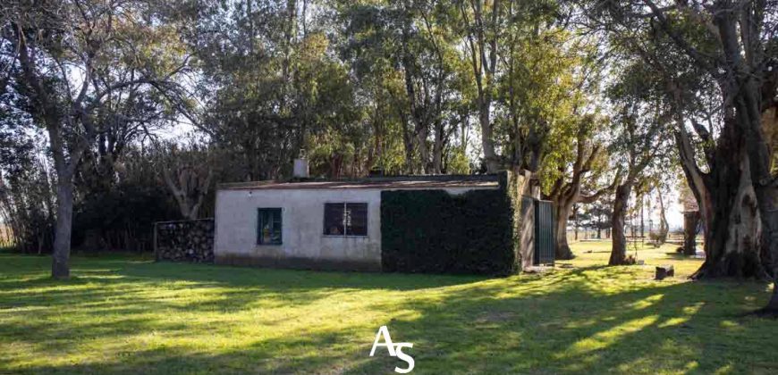 Campo de 81 hectáreas en La Choza, Lujan