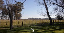 Campo de 81 hectáreas en La Choza, Lujan