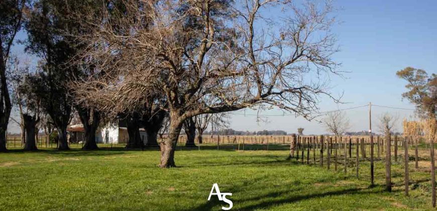 Campo de 81 hectáreas en La Choza, Lujan