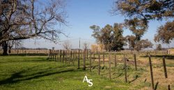 Campo de 81 hectáreas en La Choza, Lujan