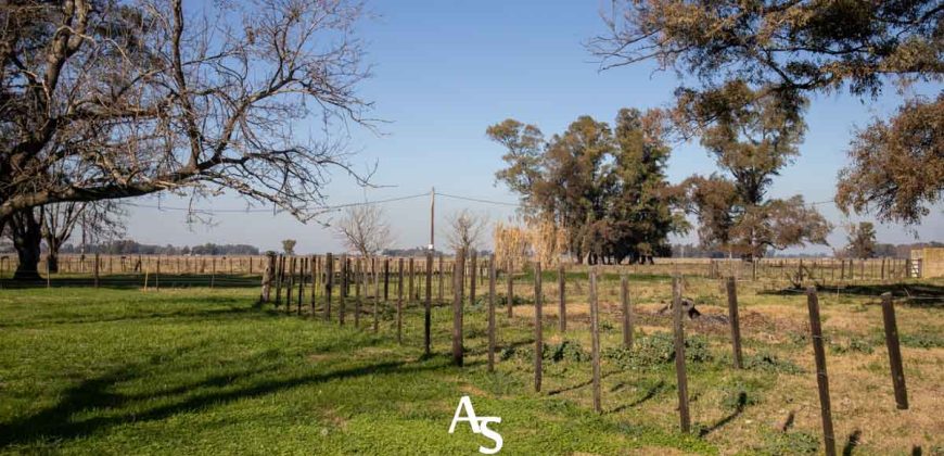 Campo de 81 hectáreas en La Choza, Lujan