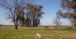 Campo de 81 hectáreas en La Choza, Lujan