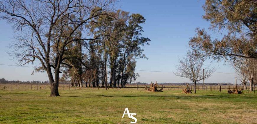 Campo de 81 hectáreas en La Choza, Lujan